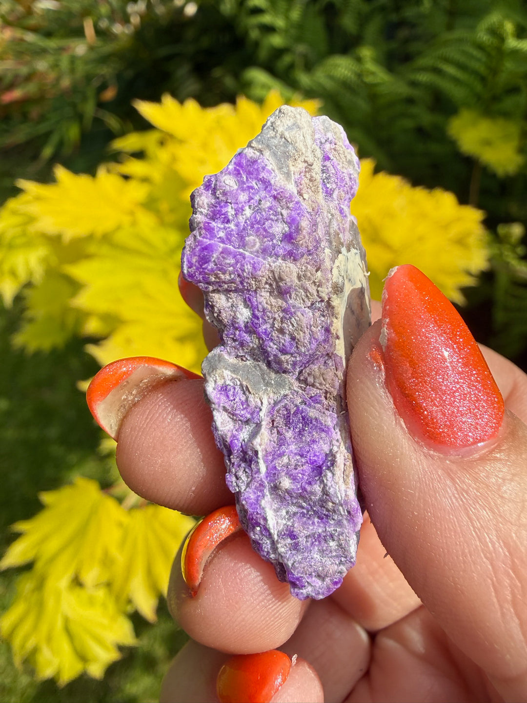 Sugilite Specimen from Wessels Mine