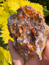 Load image into Gallery viewer, RESERVED Large Wulfenite Specimen from Arizona
