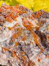 Load image into Gallery viewer, RESERVED Large Wulfenite Specimen from Arizona
