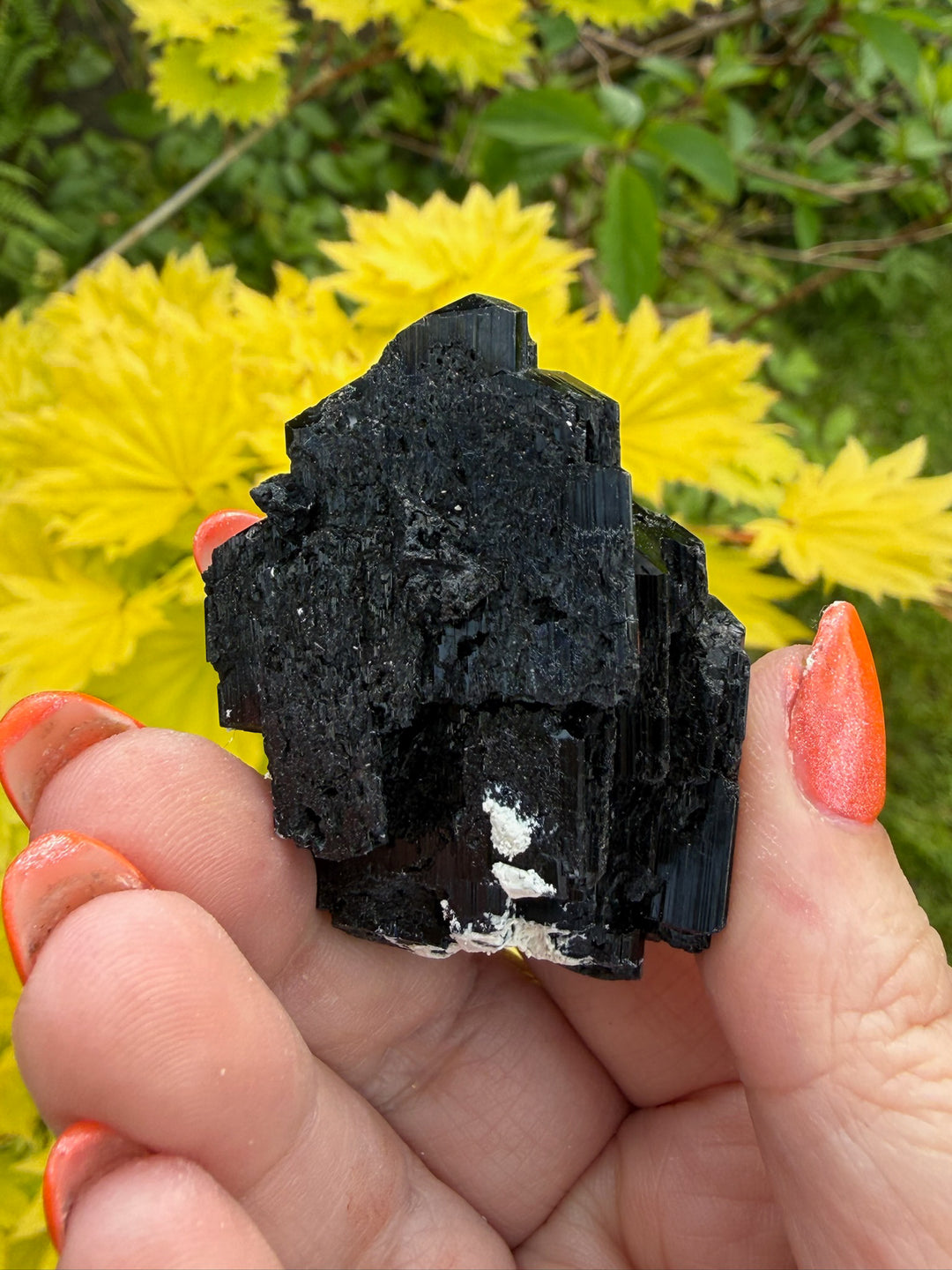 Black Tourmaline Schorl Specimen from Erongo