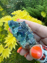 Load image into Gallery viewer, Fluorite Specimen from Greedy Hog Pocket, Weardale UK
