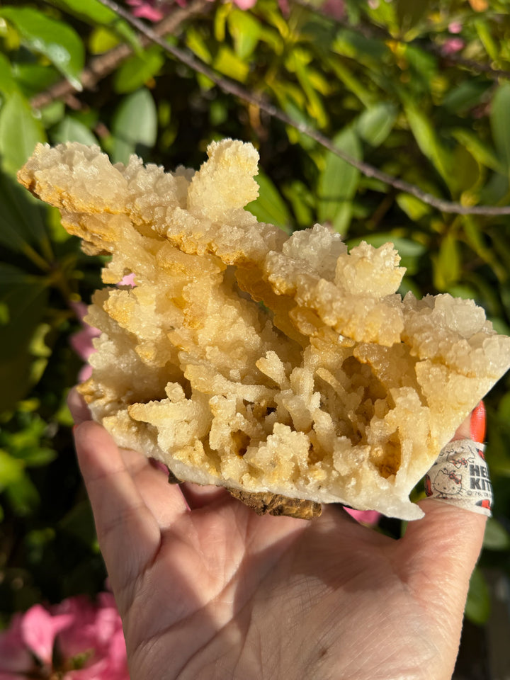 Freestanding Stalactite Calcite Specimen from Wenshan.