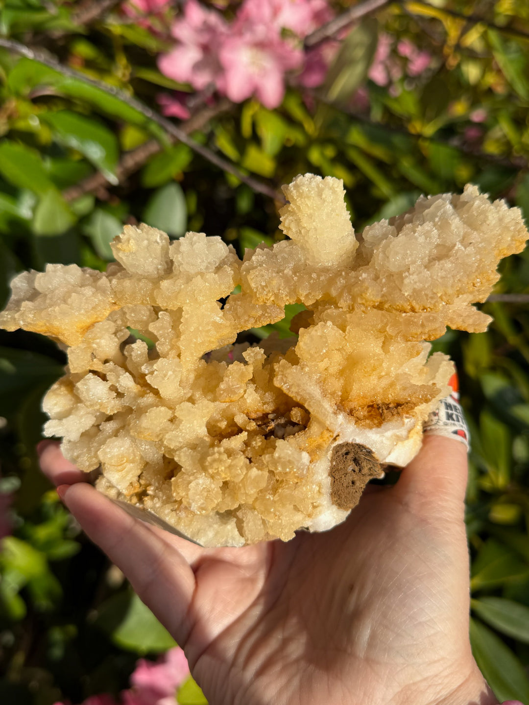 Freestanding Stalactite Calcite Specimen from Wenshan.
