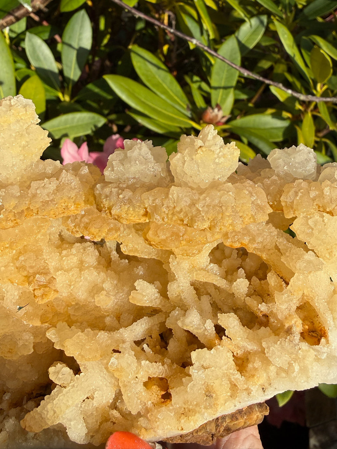 Freestanding Stalactite Calcite Specimen from Wenshan.