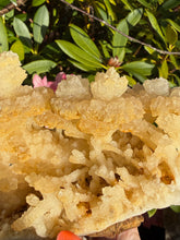 Load image into Gallery viewer, Freestanding Stalactite Calcite Specimen from Wenshan.

