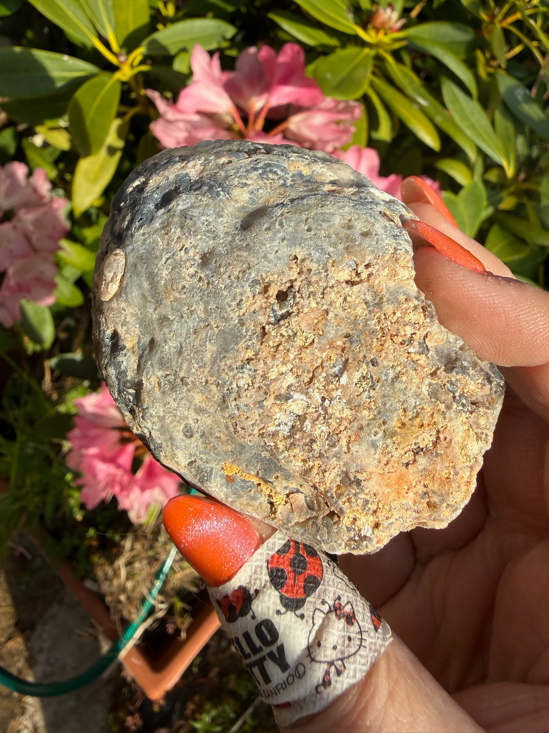 Druzy Agate Geode Specimen
