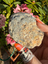 Load image into Gallery viewer, Druzy Agate Geode Specimen

