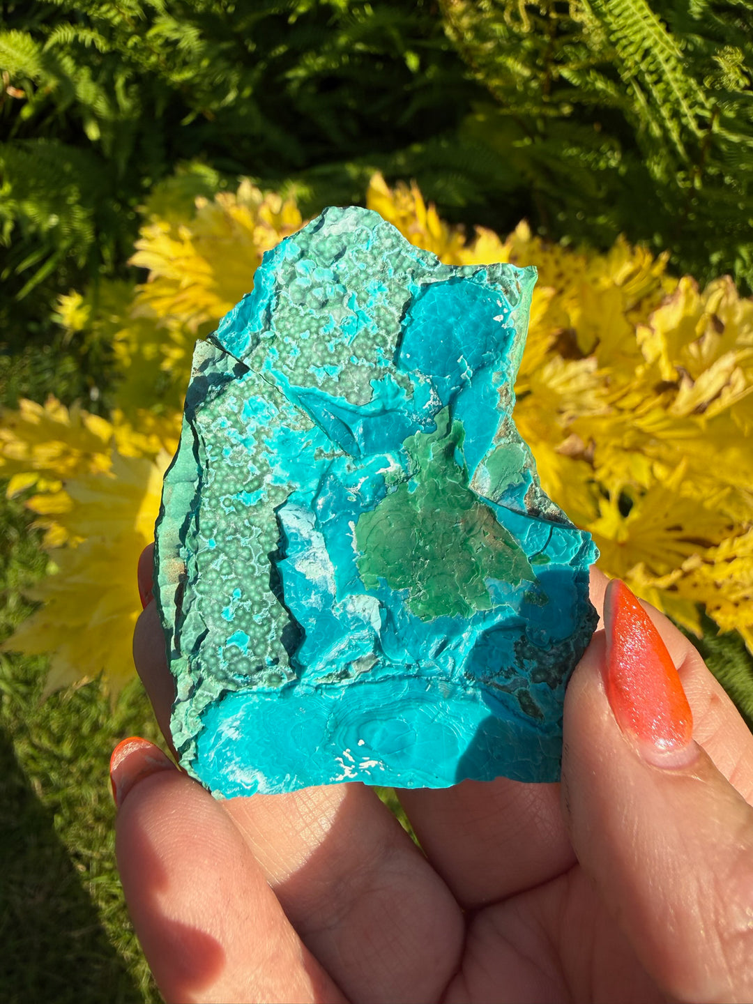 Chrysocolla and Malachite Specimen from Congo