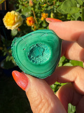 Load image into Gallery viewer, Chrysocolla and Malachite Geode Specimen
