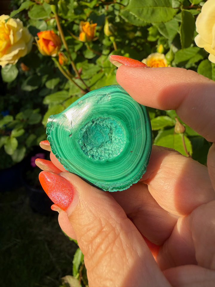 Chrysocolla and Malachite Geode Specimen