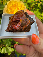Load image into Gallery viewer, Crocoite Specimen from Tasmania
