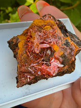 Load image into Gallery viewer, Crocoite Specimen from Tasmania
