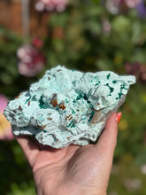 Load image into Gallery viewer, Collectors Grade Rare Dioptase on Shattuckite and Calcite Specimen from Congo
