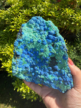 Load image into Gallery viewer, Statement Chrysocolla and Malachite Collectors Specimen
