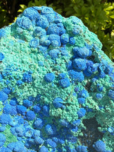 Load image into Gallery viewer, Statement Chrysocolla and Malachite Collectors Specimen
