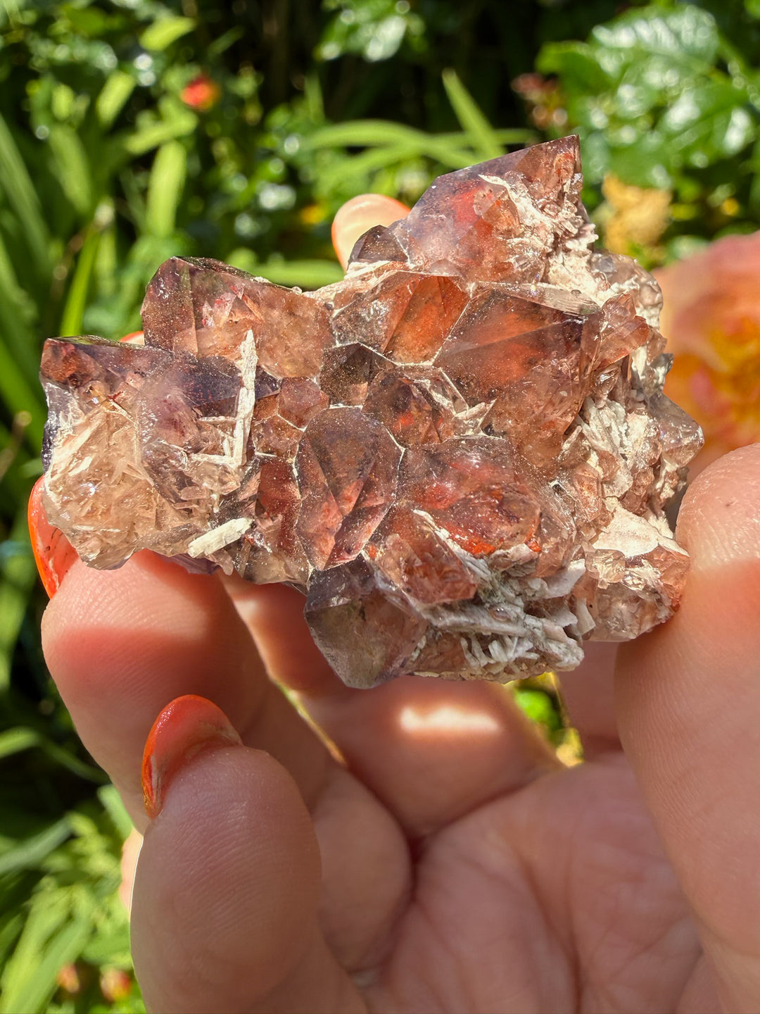 Quality Rare Fire and Ice Thunderbay Amethyst Specimen from Canada