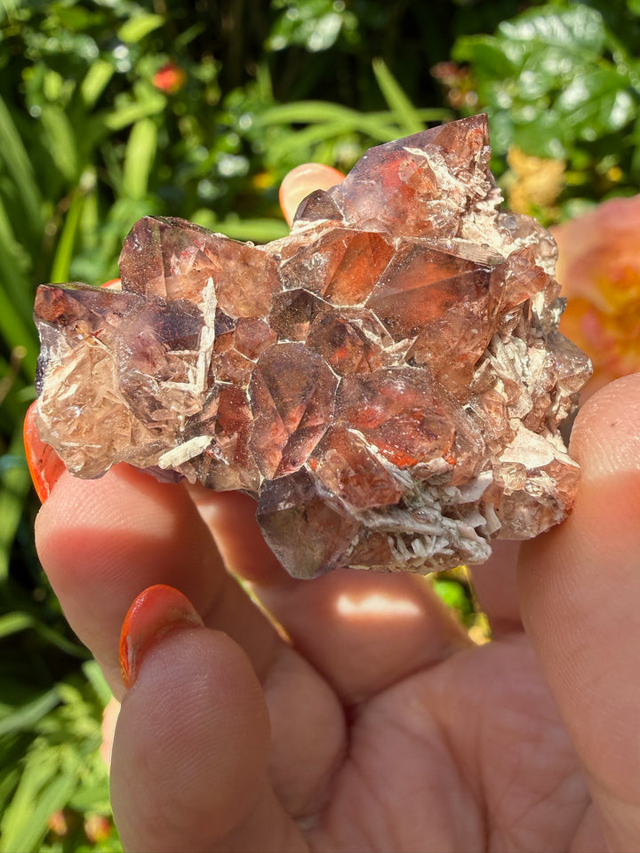 Quality Rare Fire and Ice Thunderbay Amethyst Specimen from Canada