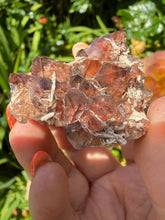 Load image into Gallery viewer, Quality Rare Fire and Ice Thunderbay Amethyst Specimen from Canada
