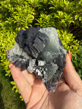 Load image into Gallery viewer, Rare Bicolour Fluorite Specimen from Zhejiang on Custom Light Box
