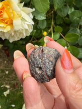 Load image into Gallery viewer, Complete Druzy Agate Nodule Pair Specimen
