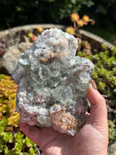 Load image into Gallery viewer, Clear green Fluorite on Quartz Specimen

