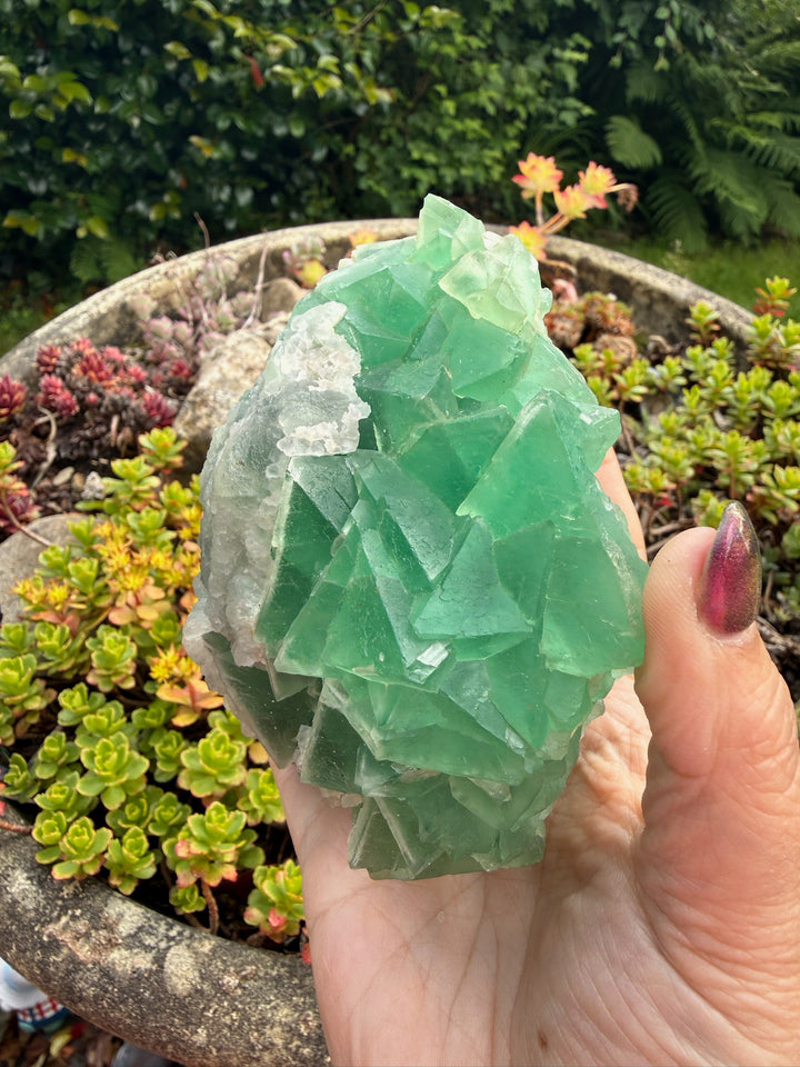 Green Fluorite with Quartz Specimen from Zhejiang