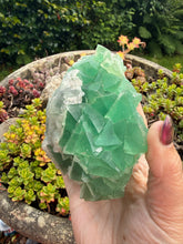 Load image into Gallery viewer, Green Fluorite and Chalcedony Specimen
