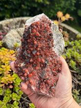 Load image into Gallery viewer, Red Hematite Quartz and Pyrite Specimen
