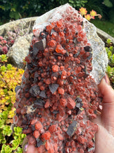 Load image into Gallery viewer, Red Hematite Quartz and Pyrite Specimen
