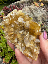 Load image into Gallery viewer, Golden Baryte Barite Specimen from Jiangxi
