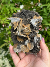 Load image into Gallery viewer, Rare Blue Barite Baryte from Morocco
