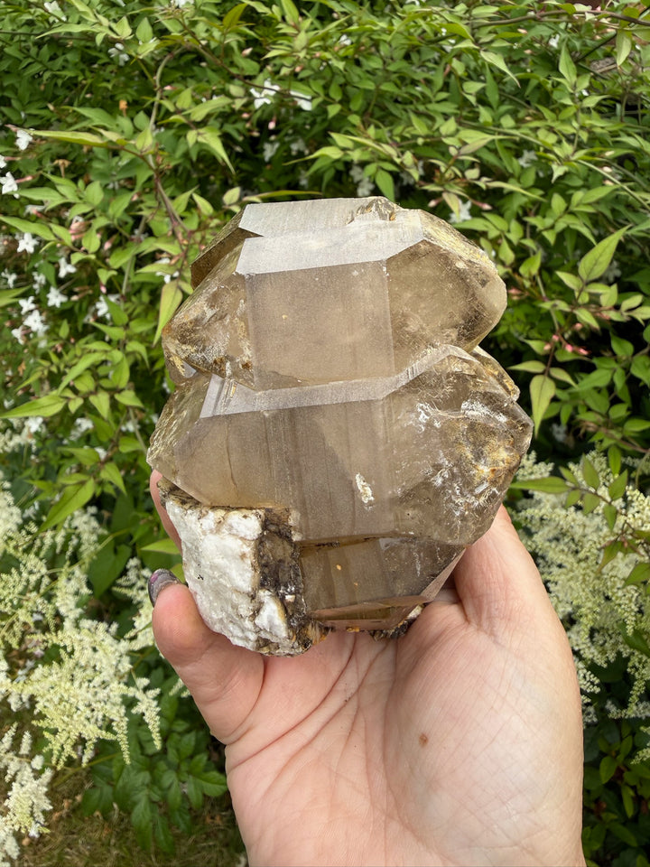 Large Double Terminated DT Smoky Quartz from Pakistan