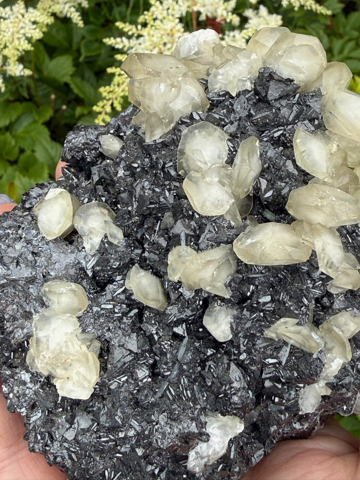 Rare Calcite and Galena Specimen from Bulgaria