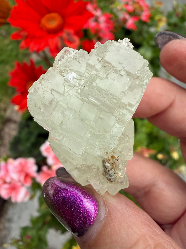 UV Reactive Stepped Mint Green Fluorite and Calcite from Fujian