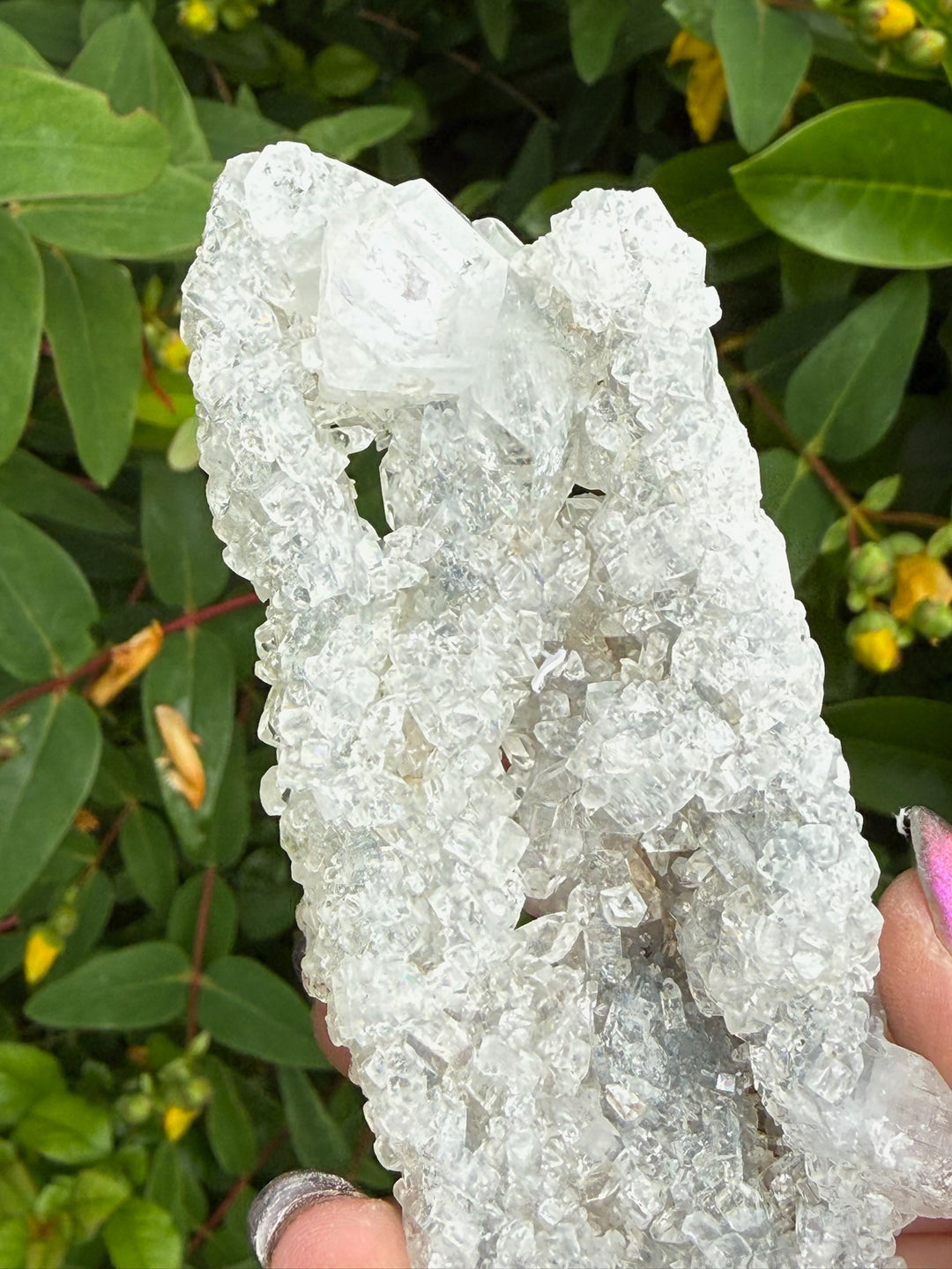 Quartz and Apophyllite Stalactite Specimen