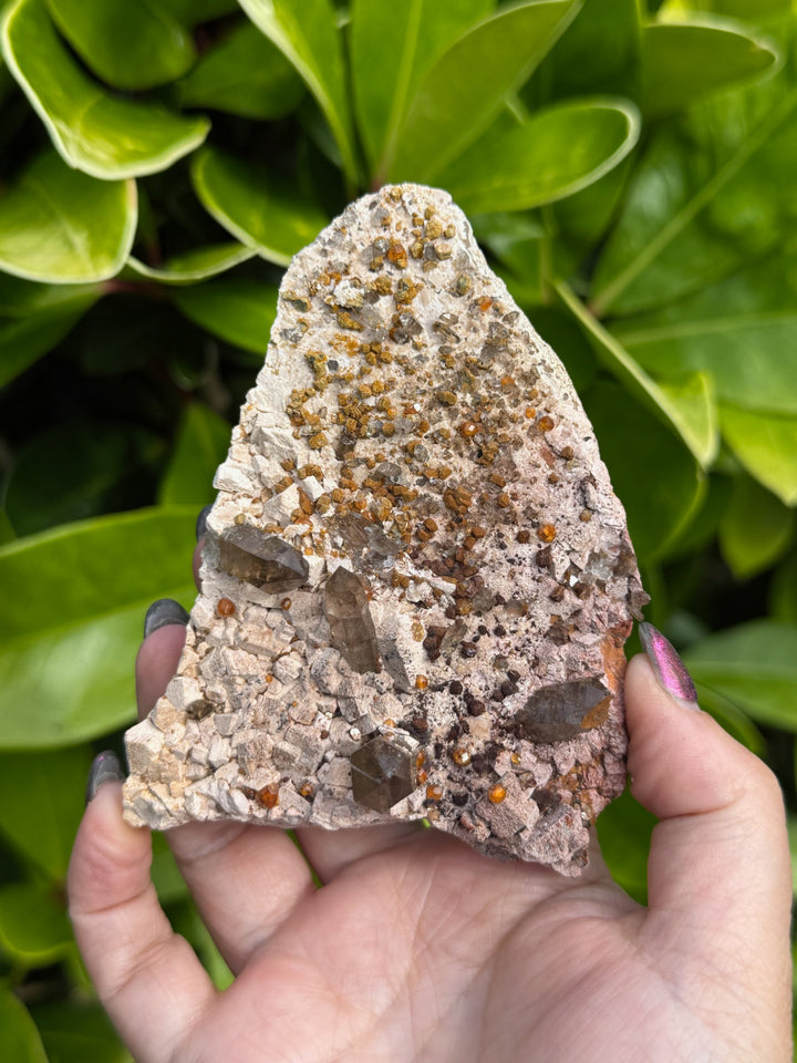 Smoky Quartz and Garnet Specimen from Fujian