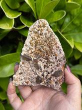 Load image into Gallery viewer, Smoky Quartz and Garnet Specimen from Fujian
