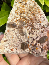 Load image into Gallery viewer, Smoky Quartz and Garnet Specimen from Fujian
