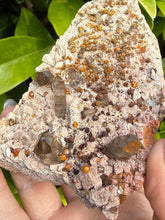 Load image into Gallery viewer, Smoky Quartz and Garnet Specimen from Fujian
