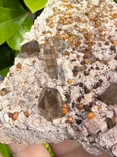 Load image into Gallery viewer, Smoky Quartz and Garnet Specimen from Fujian
