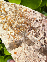 Load image into Gallery viewer, Smoky Quartz and Garnet Specimen from Fujian
