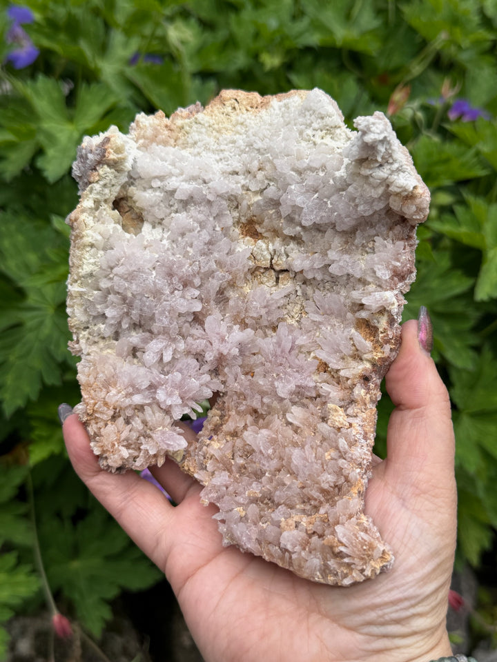 Large Pink Amethyst Flower Specimen