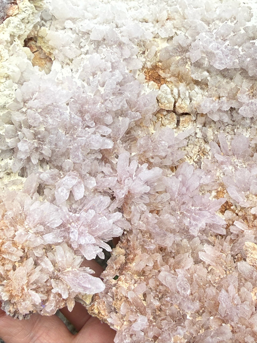 Large Pink Amethyst Flower Specimen