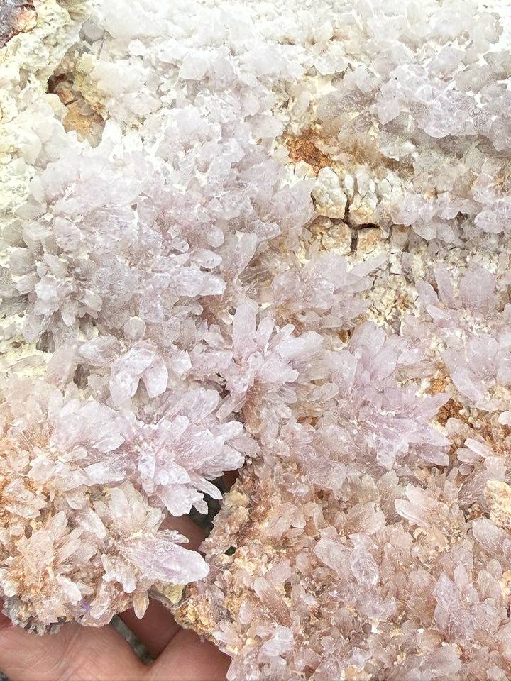 Large Pink Amethyst Flower Specimen