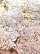 Load image into Gallery viewer, Large Pink Amethyst Flower Specimen
