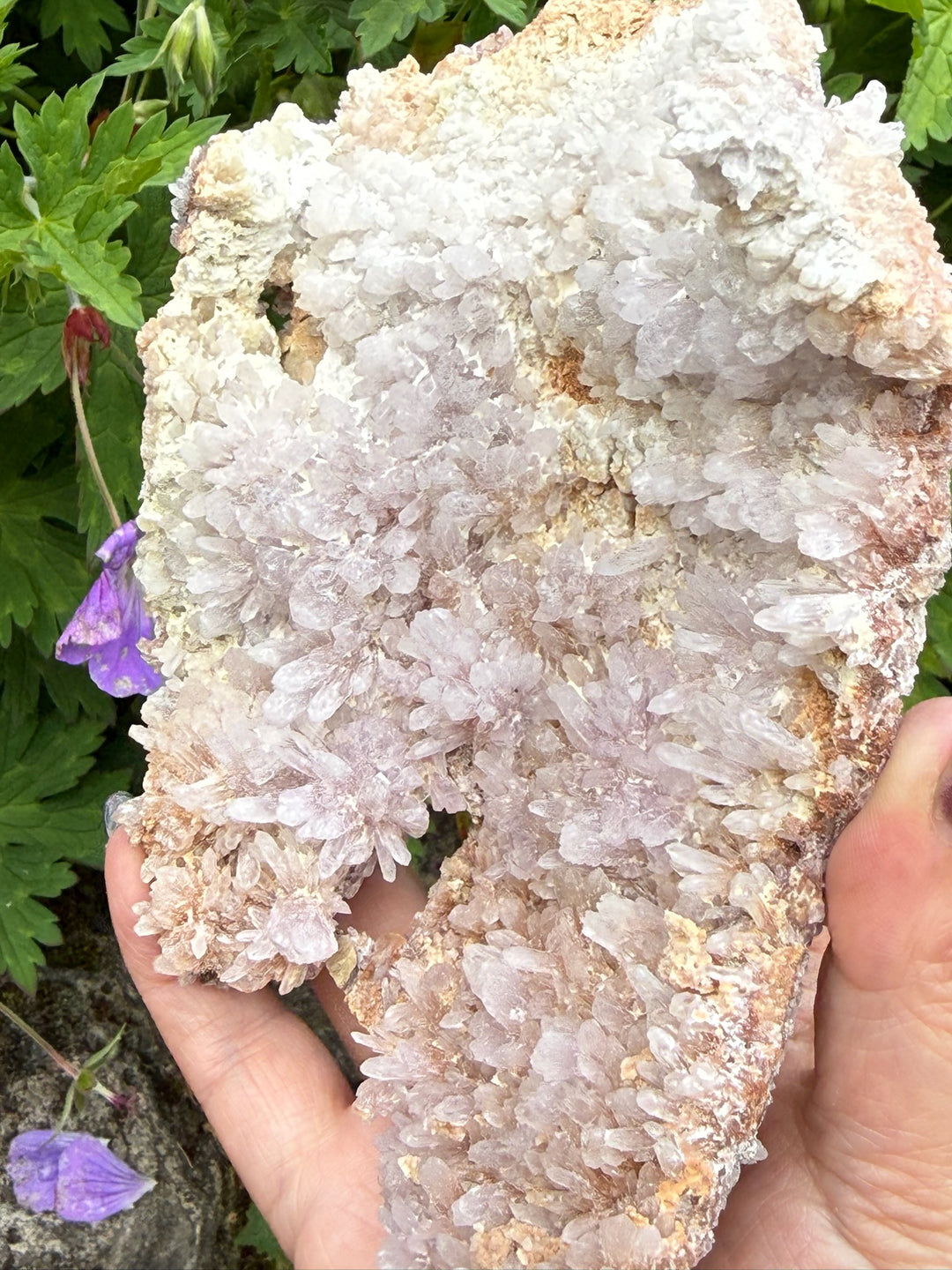 Large Pink Amethyst Flower Specimen