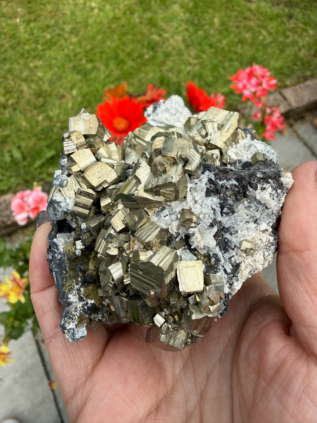 Large Pyrite and Galena Specimen from Bulgaria