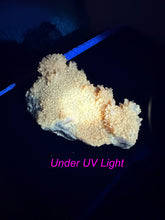 Load image into Gallery viewer, UV Reactive Orange Calcite Specimen from Wenshan
