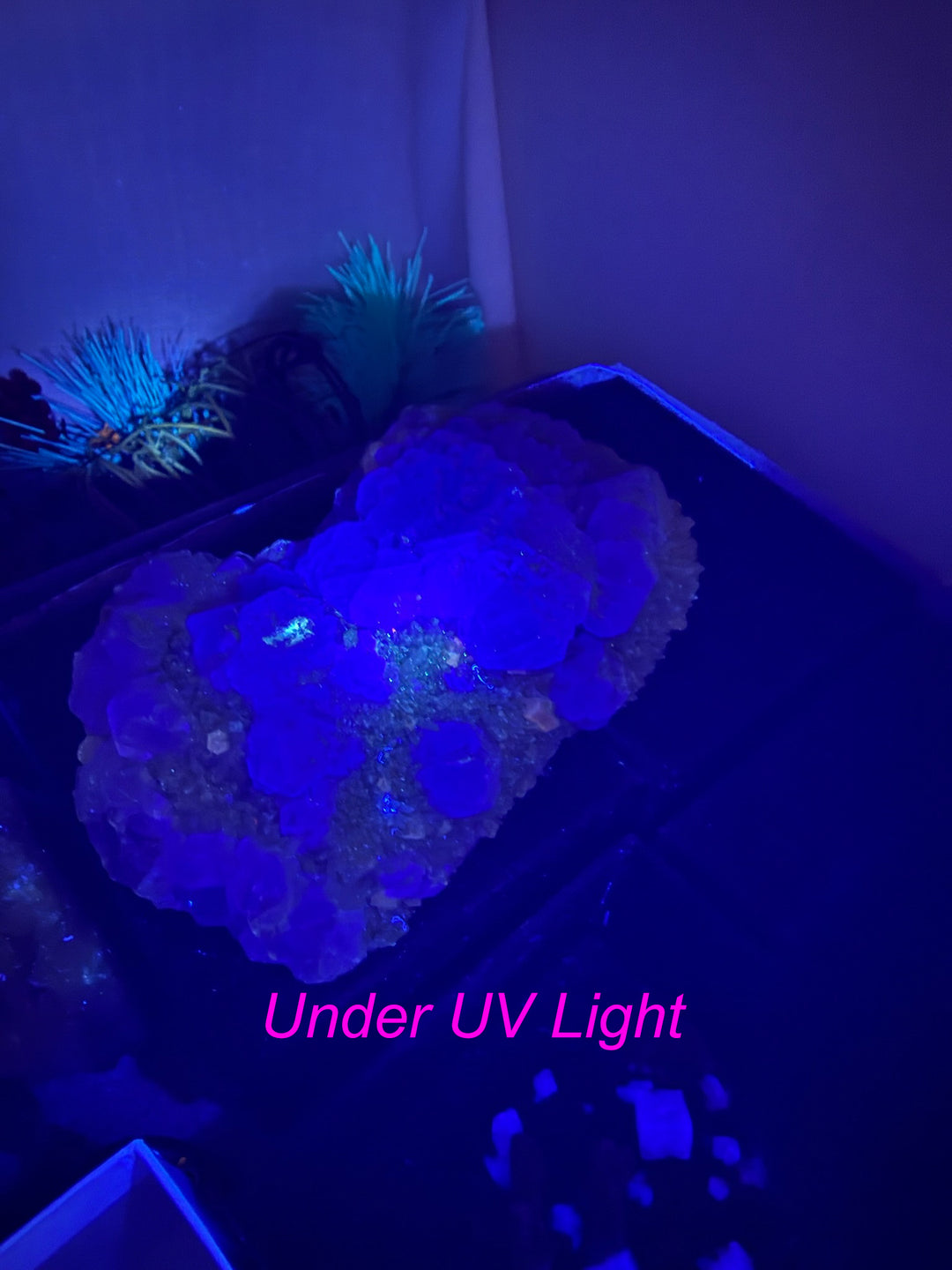 UV Reactive Green and Purple Fluorite Specimen from Fujian