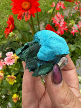 Load image into Gallery viewer, Chrysocolla and Malachite Specimen from Congo

